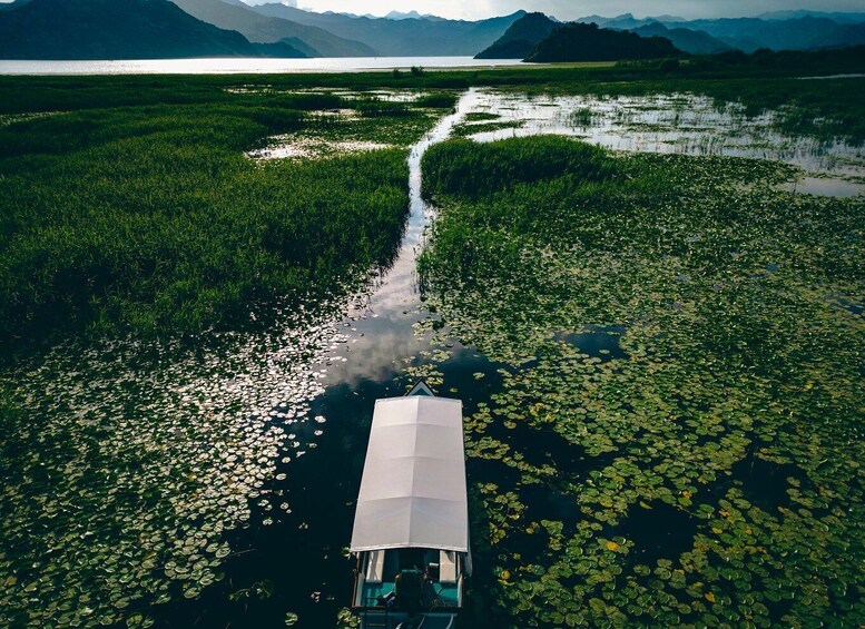 An aerial view of a river with a narrowboat traveling through a marshy area with water lilies. 4
