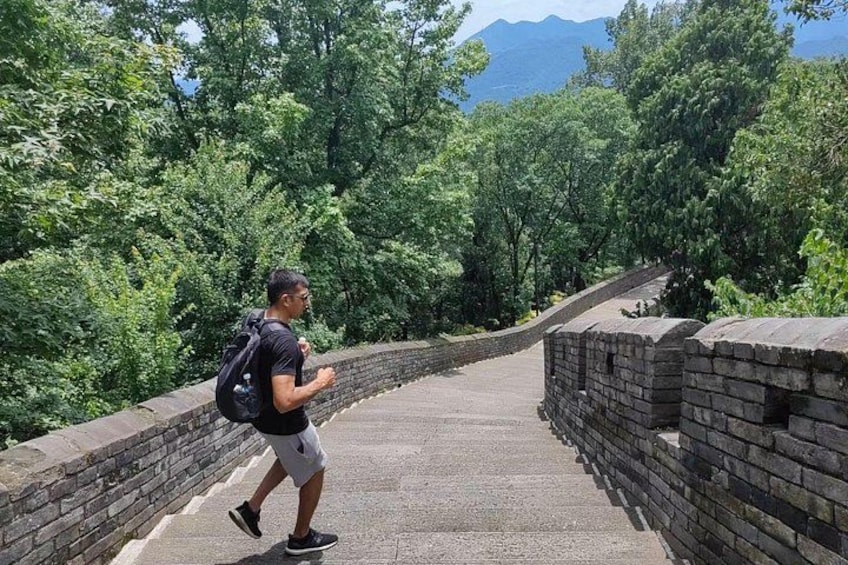 A person walking along a stone pathway surrounded by lush greenery and a brick wall. 3
