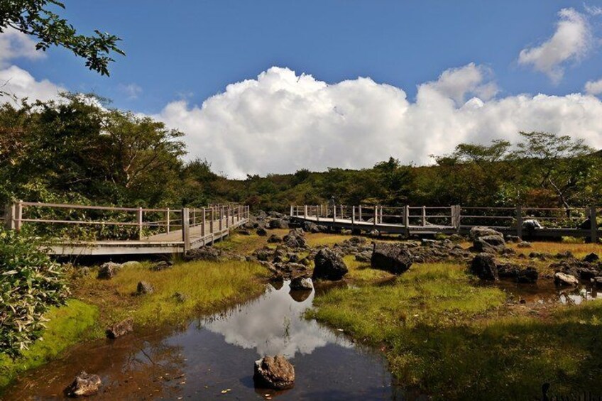 Guaranteed Return - Jeju Authentic Shore Excursion Cruise 4