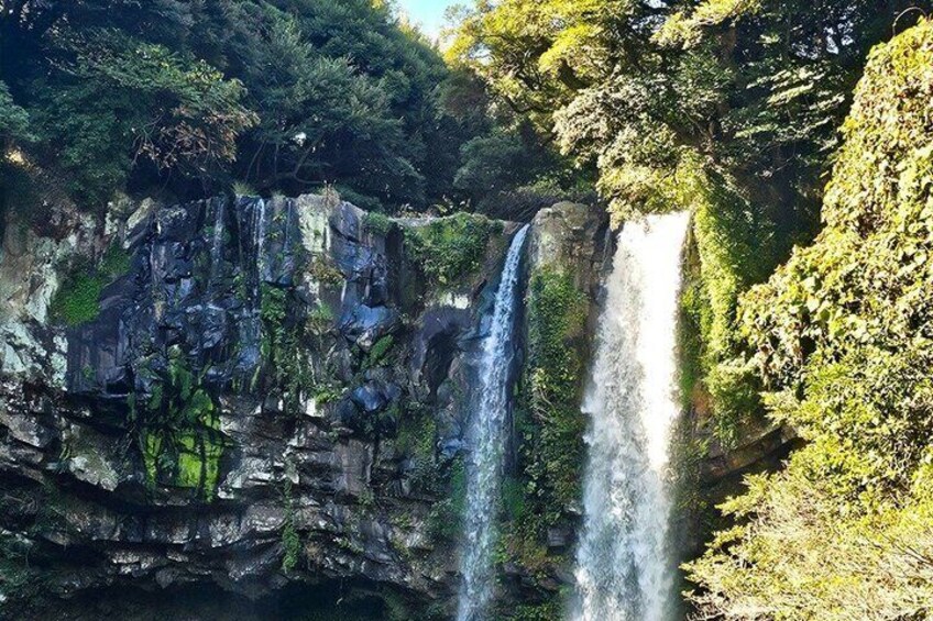 (Guaranteed Return) Jeju Authentic Shore Excursion Cruise 2