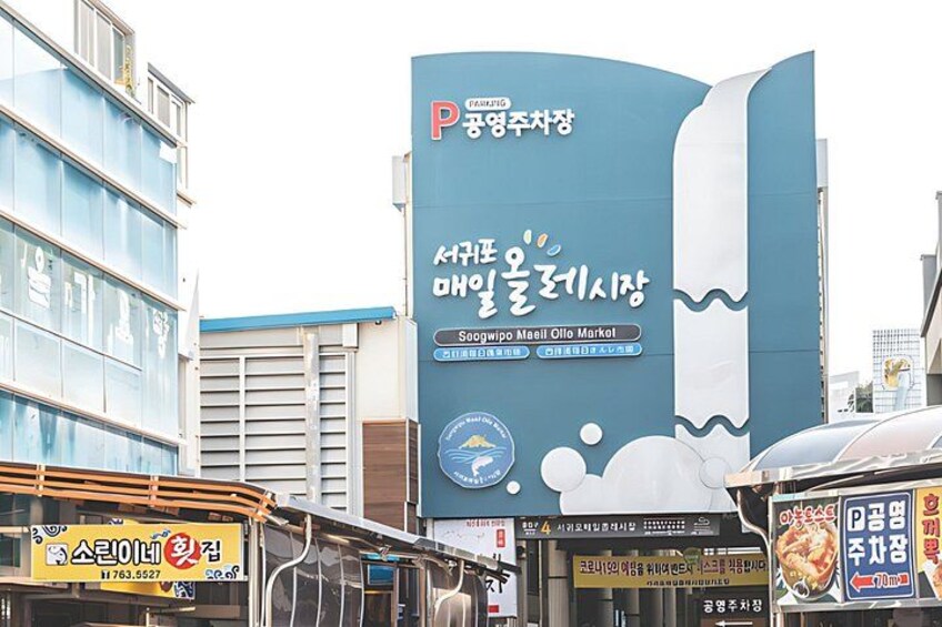 Guaranteed Return - Jeju Authentic Shore Excursion Cruise 3
