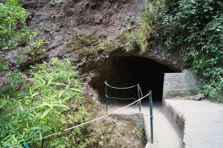 A cave entrance with a rope barrier, surrounded by greenery. 5