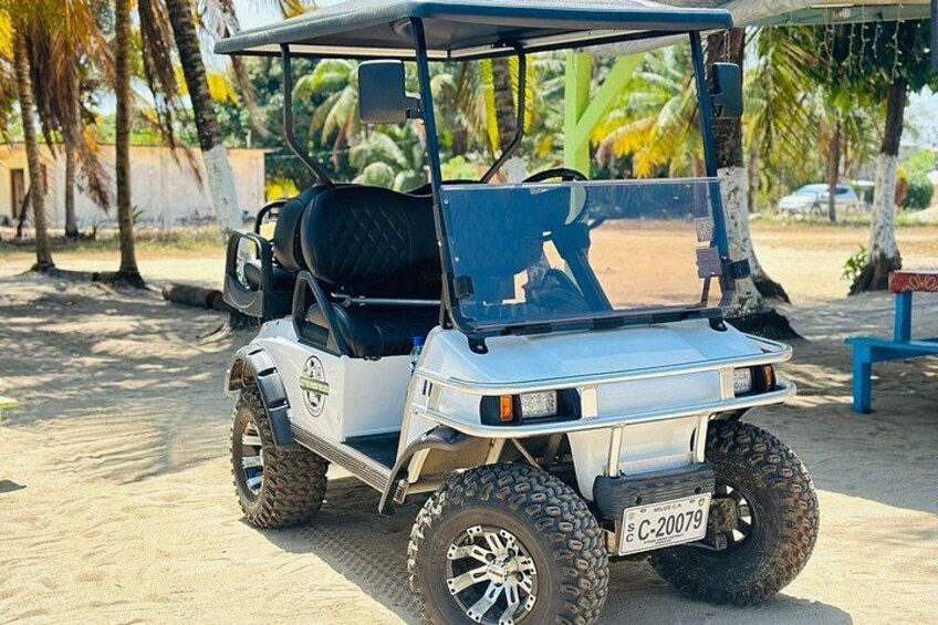 A golf cart parked on sandy ground with palm trees in the background. 2