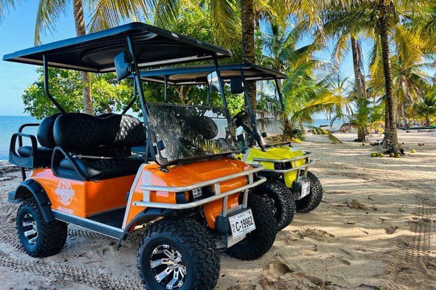 A golf cart parked on a sandy beach with palm trees in the background. 1