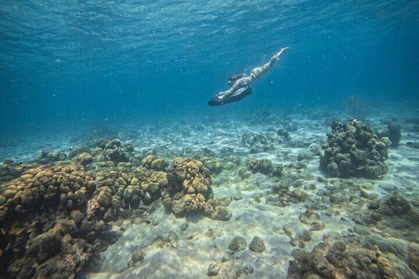 A diver swimming underwater near a coral reef. 3