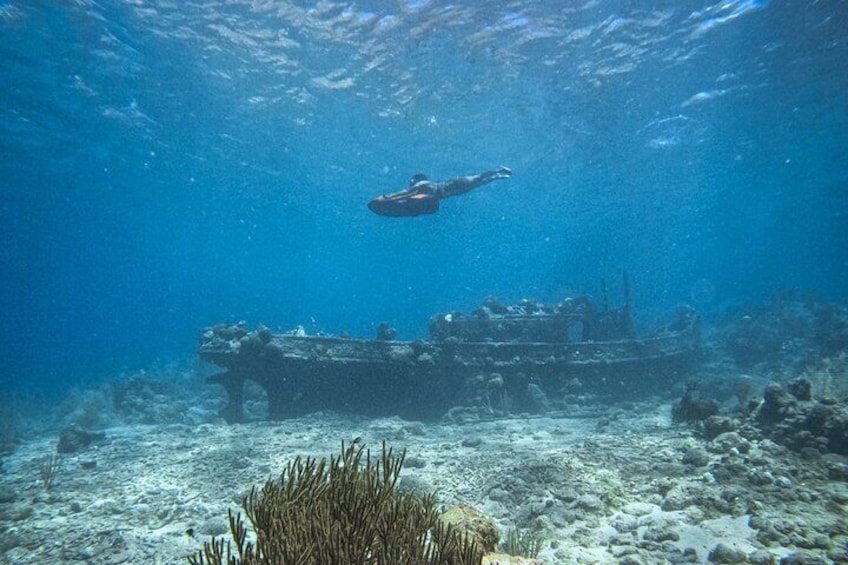 A diver swimming near an underwater wreck surrounded by coral and marine life. 4