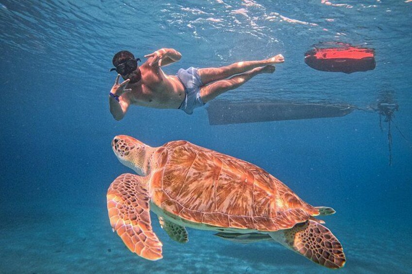 Curaçao Seabob in Playa Piskado Adventure with Sea Turtles 3