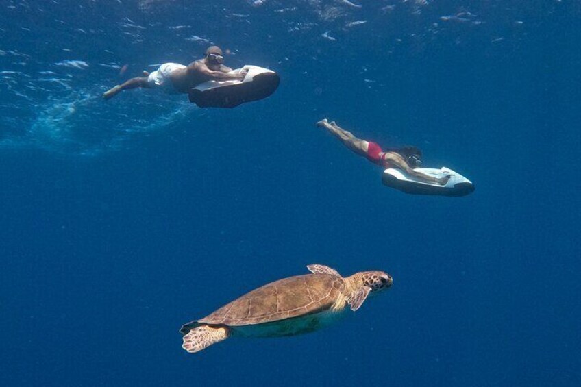Curacao Seabob in Playa Piskado Adventure 1