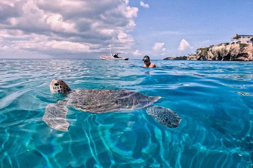 Curaçao Seabob in Playa Piskado Adventure with Sea Turtles 3