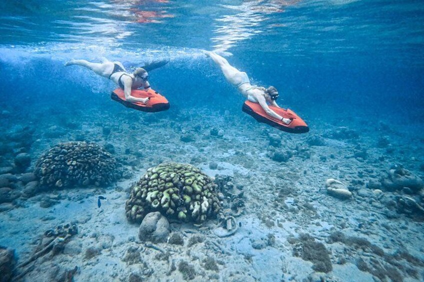 Curaçao Seabob in Playa Piskado Adventure with Sea Turtles 5