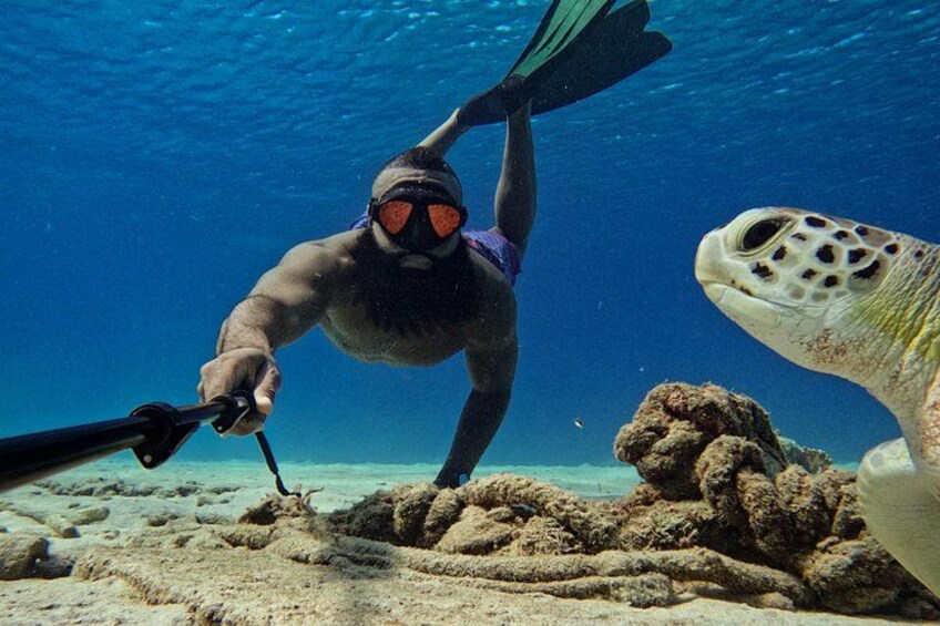 A diver underwater with a sea turtle nearby. 3