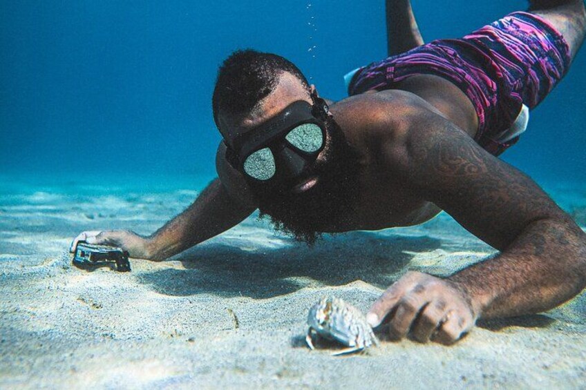 Curaçao Seabob in Playa Piskado Adventure with Sea Turtles 5