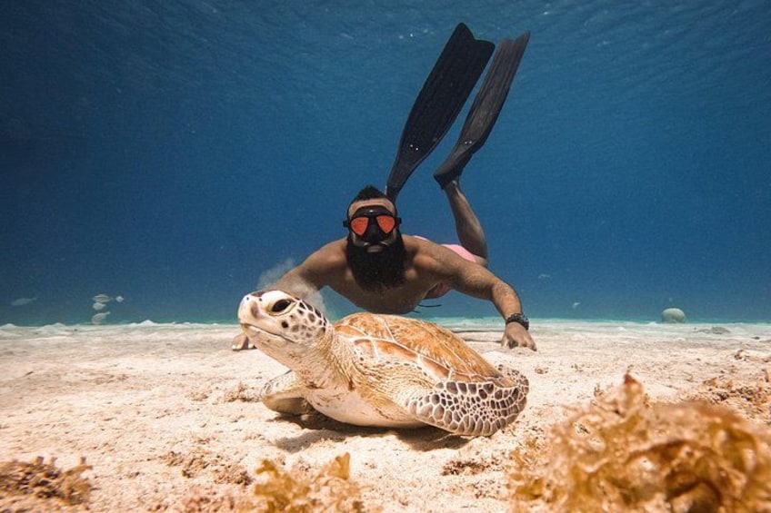 A diver underwater with a sea turtle on the ocean floor. 3