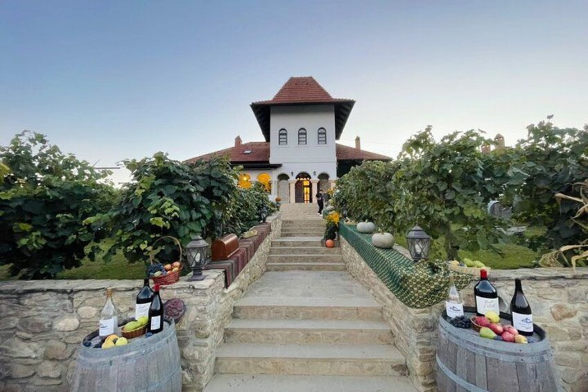 A vineyard with steps leading to a building, barrels with fruits and bottles, and a clear sky. 3