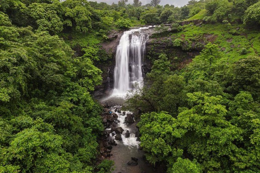 A waterfall surrounded by dense green forest. 2