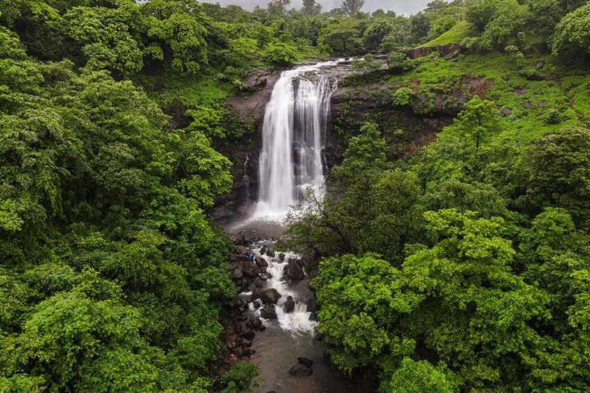 A waterfall surrounded by dense green forest. 3