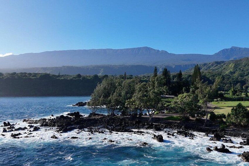 A coastal landscape with a rocky shoreline, trees, and distant mountains. 1