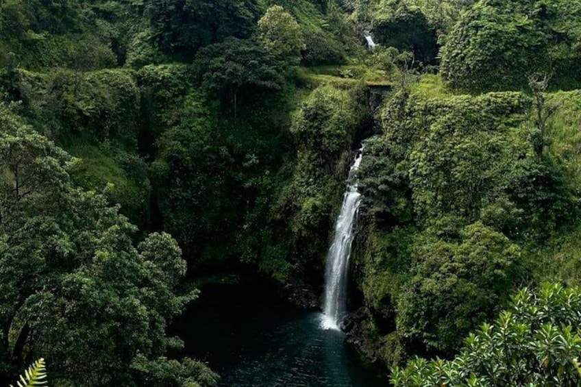 Halfway Road to Hana - Small Group - Taste of Hana and Waterfalls 5