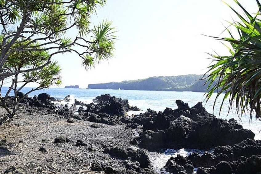 Halfway Road to Hana - Small Group - Taste of Hana and Waterfalls 4