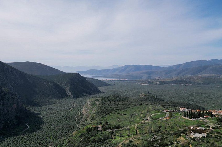 Hike on Ancient Path through the Olive Groves in Delphi 1