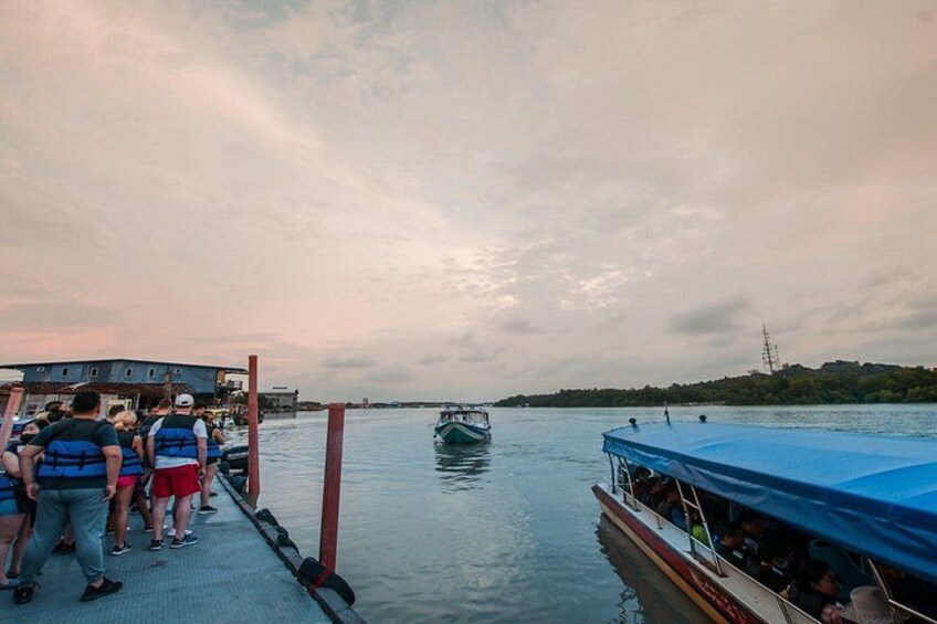 Fireflies Tour with Blue Tears, Eagle Feeding & Dinner (Private) 1