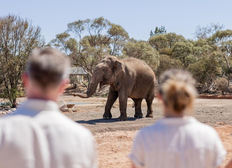 Picture 2 for Activity Monarto Safari Park: General Admission Tickets 3
