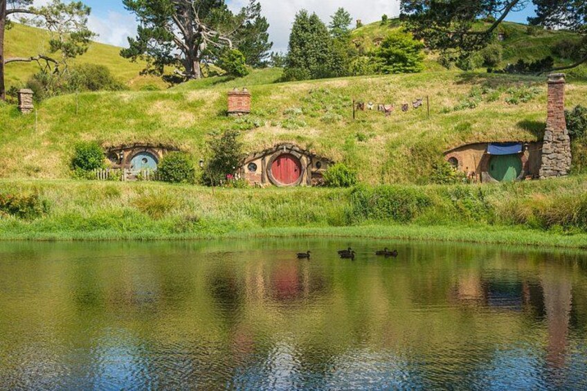 Private Tour Tauranga Magical Hobbiton Movie Set 1
