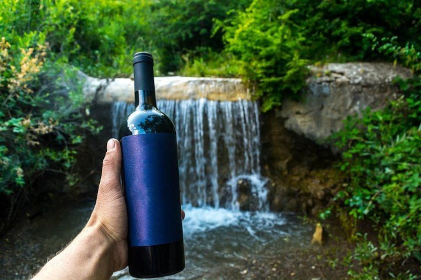 A hand holding a dark blue bottle with a cork, in front of a waterfall. 2