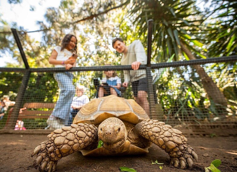 Picture 7 for Activity Adelaide Zoo: General Admission Tickets 2