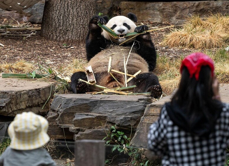 Picture 6 for Activity Adelaide Zoo: General Admission Tickets 3
