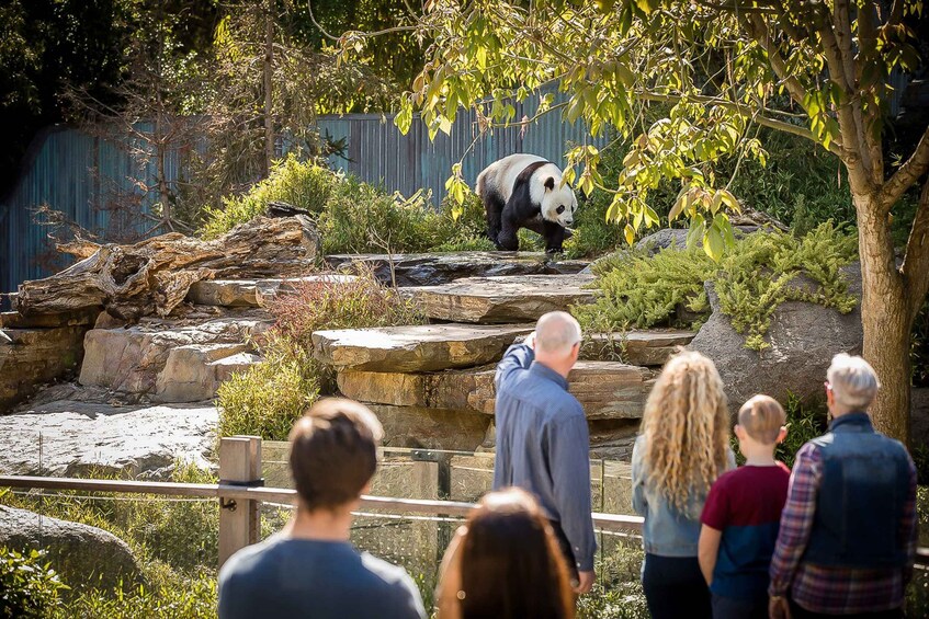 Picture 1 for Activity Adelaide Zoo: General Admission Tickets 3