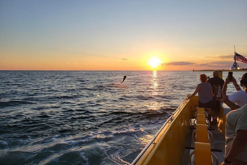 Hydro Rocket Dolphin Sightseeing Boat Tour from Destin 2