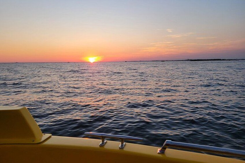 Hydro Rocket Dolphin Sightseeing Boat Tour from Destin 2