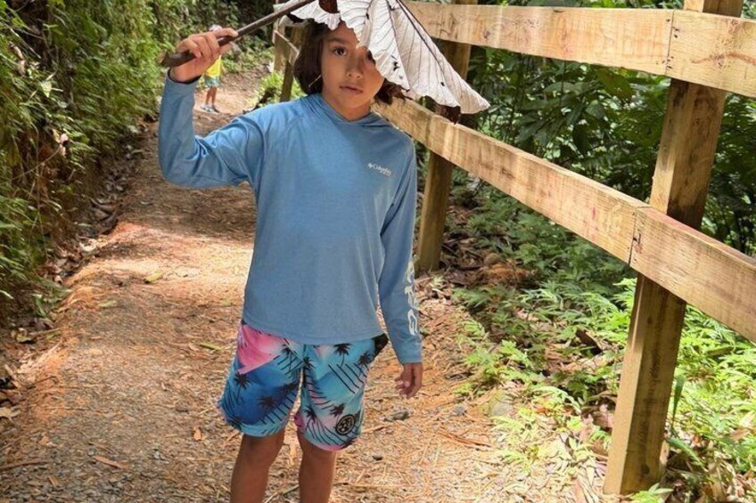 Full Day Private Tour Rain forest, beaches and caves of Puerto Rico 3