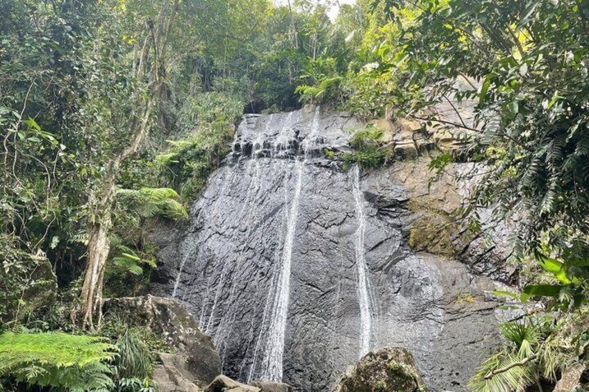 Full Day Private Tour Rain forest, beaches and caves of Puerto Rico 5