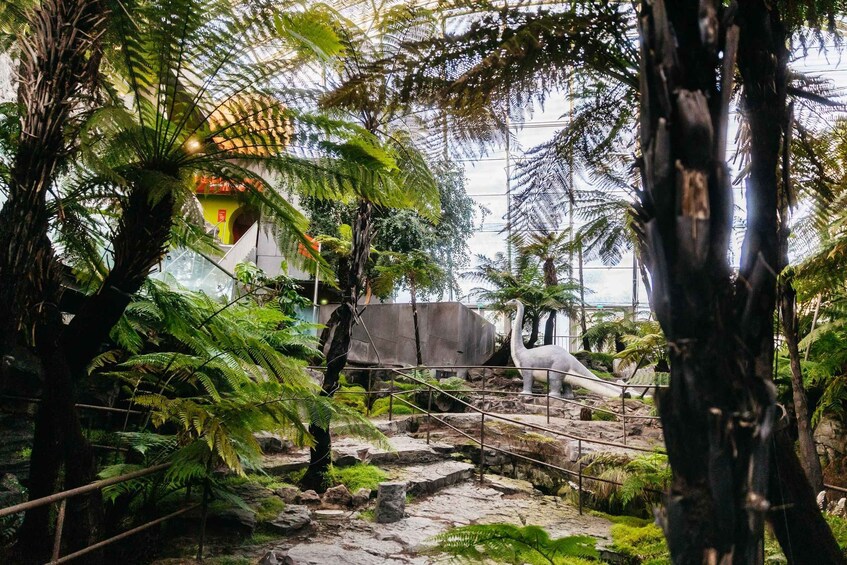 A dinosaur exhibit with a large dinosaur skeleton and lush greenery. 1