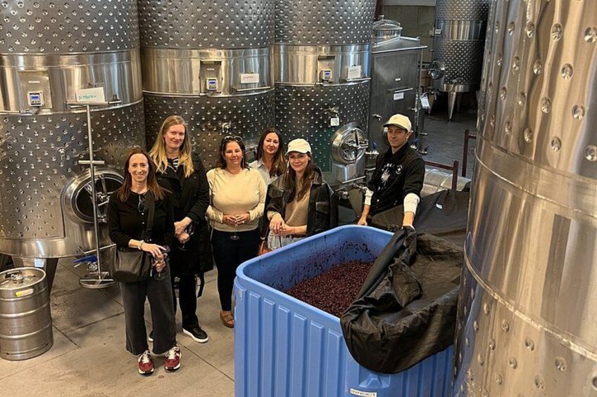 Half Day(AM) North Fork Private Wine & Food Tour by Local Expert 2