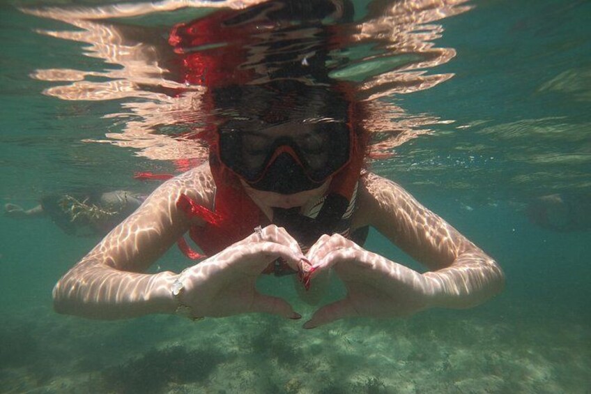 San Juan: Snorkeling with Turtles and Complimentary Videos 5