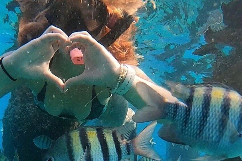 San Juan: Snorkeling with Turtles and Complimentary Videos 5