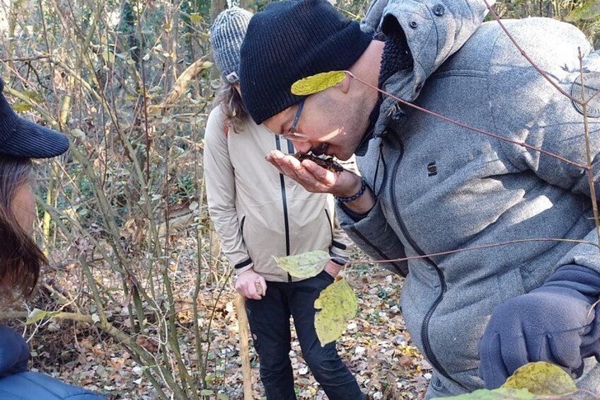Truffle Hunting and Lunch in Piedmont Trattoria 5