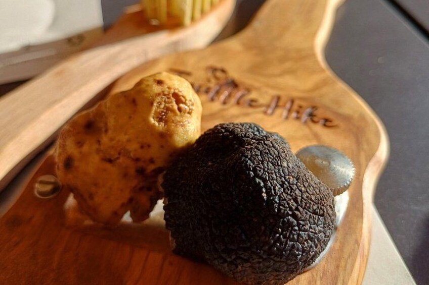 Truffle Hunting and Lunch in Piedmont Trattoria 2