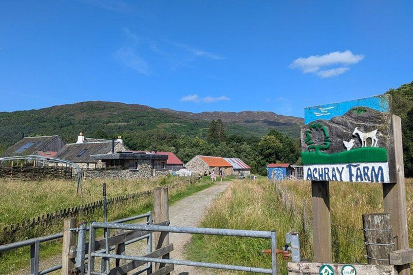 Steamship Cruise, Sheepdog Demo, Foraging Walk, Trossachs Trail 5