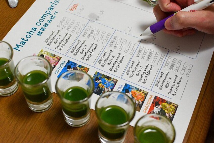 matcha comparison memo 2