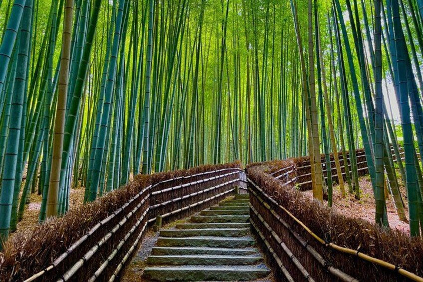 Kyoto Early Bird English Tour: Fushimi-Inari and Arashiyama 1