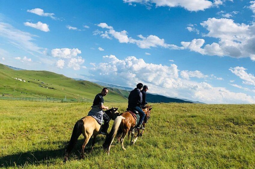 Three people riding horses in a grassy field with rolling hills in the background. 4