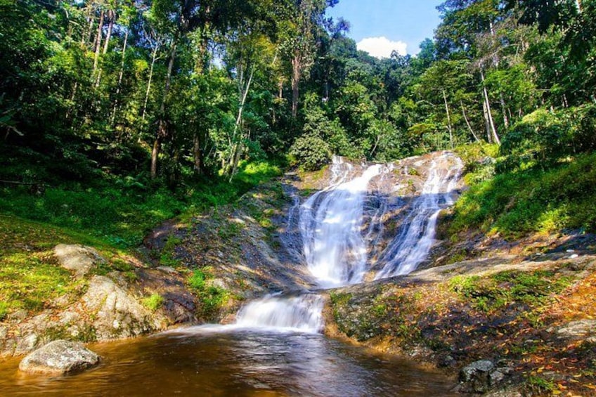 Une cascade située dans une zone boisée, avec un ruisseau à son pied. 2