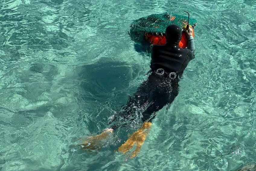 A person swimming in clear water, wearing a wetsuit and holding a green object. 1