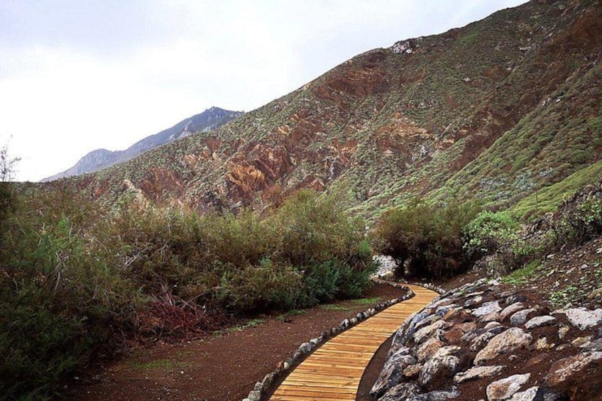 Nature and Culture Tour in Candelaria La Laguna and Anaga 2