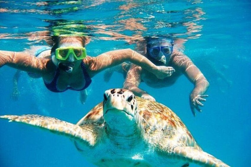 Barbados Glass Bottom Boat Cruise and Snorkeling 4