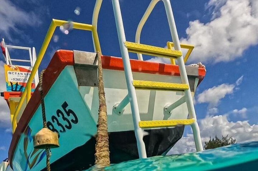 Barbados Glass Bottom Boat Cruise and Snorkeling 3